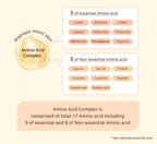 Amino acid complex: nine essential and eight non-essential amino acids.